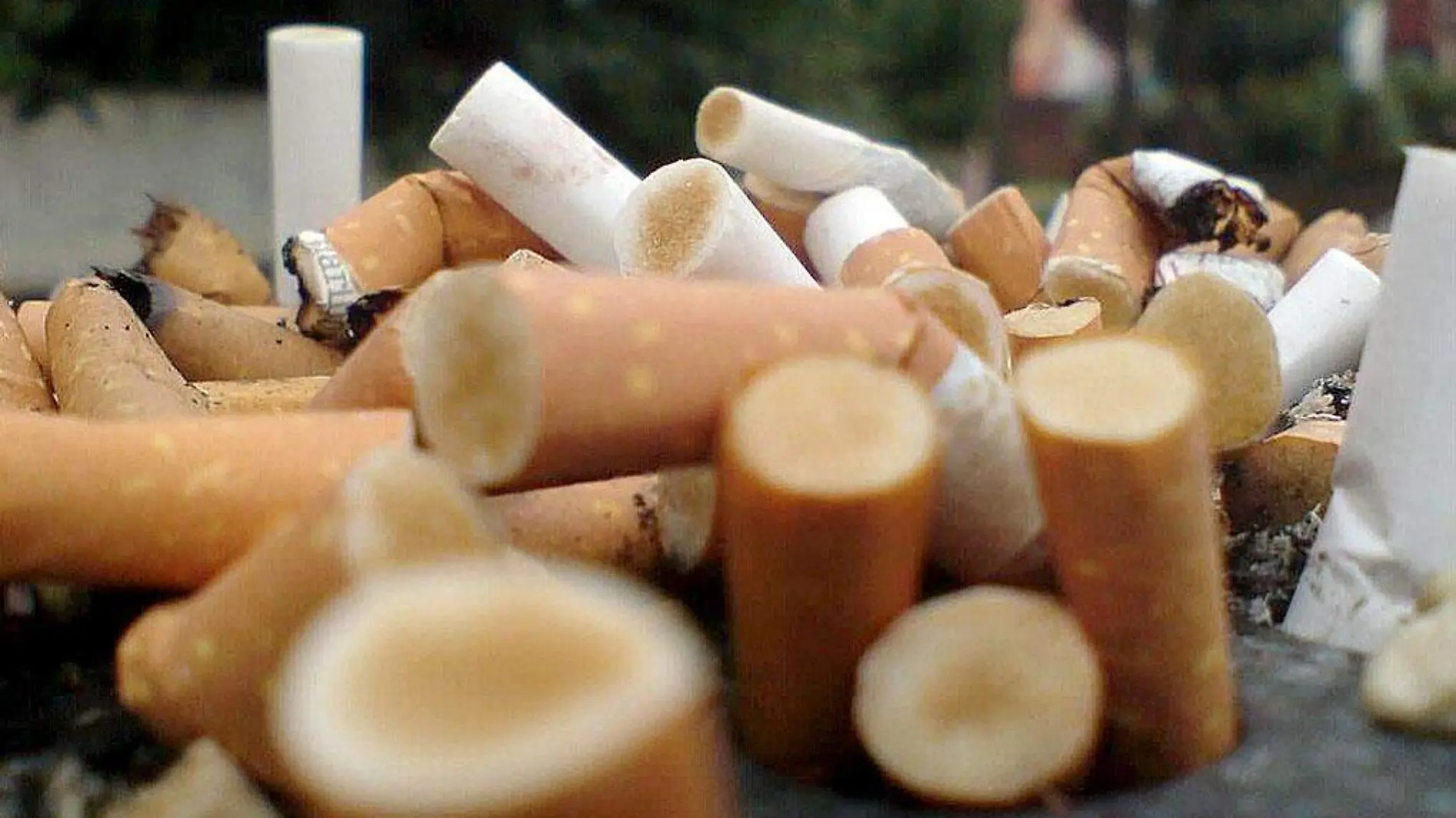 Colillas de cigarro